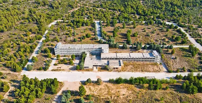 Δάσος Αμυγδαλέζας