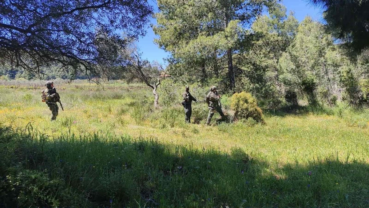 Δάσος Πίσια Κορινθίας